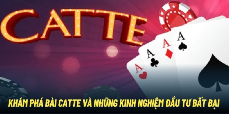 Khám Phá Bài Catte Và Những Kinh Nghiệm Đầu Tư Bất Bại