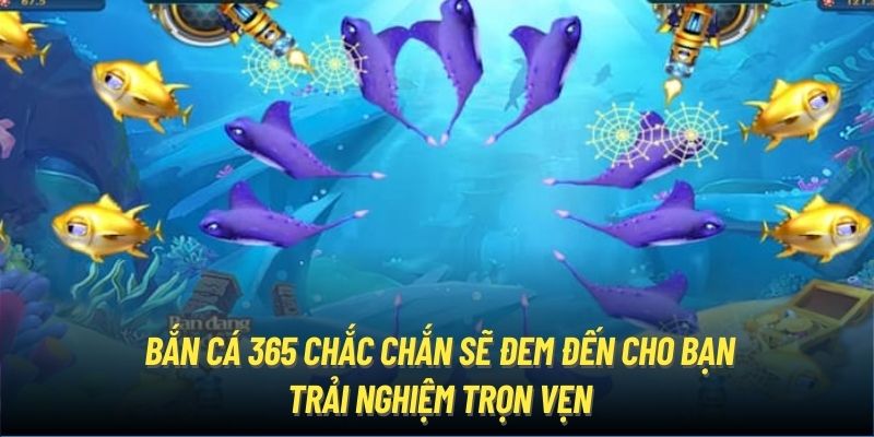 Bắn Cá 365 chắc chắn sẽ đem đến cho bạn trải nghiệm trọn vẹn