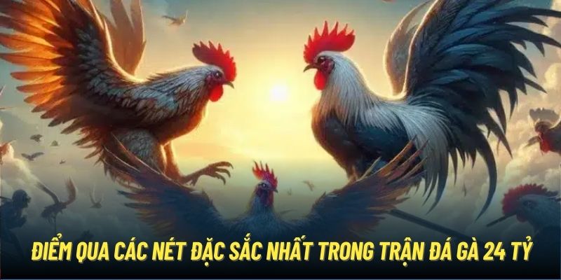 Điểm qua các nét đặc sắc nhất trong trận đá gà 24 tỷ