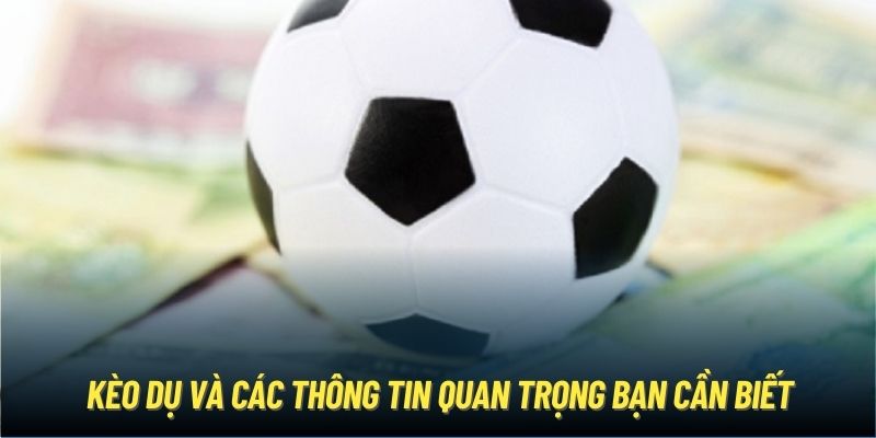 Kèo dụ và các thông tin quan trọng bạn cần biết