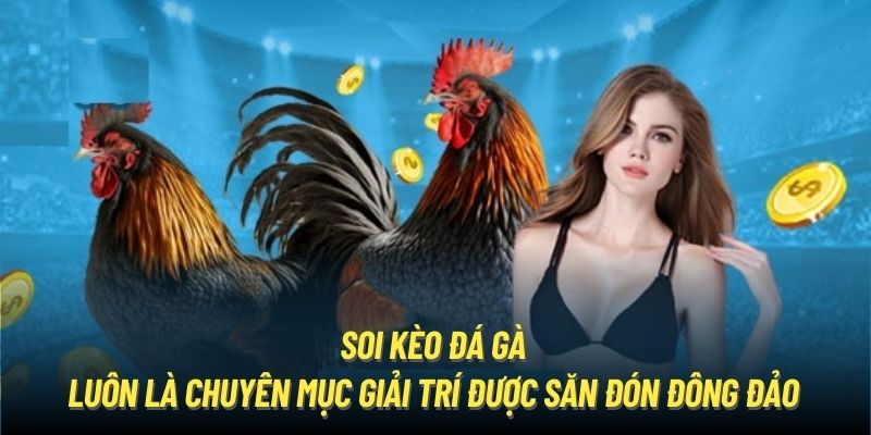 Soi kèo đá gà luôn là chuyên mục giải trí được săn đón đông đảo