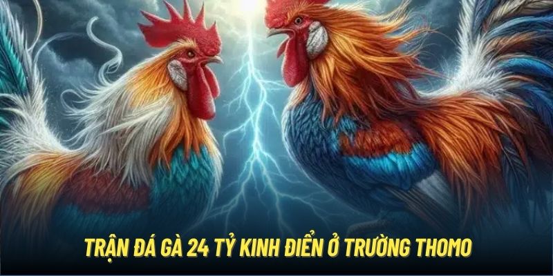 Trận đá gà 24 tỷ kinh điển ở trường Thomo